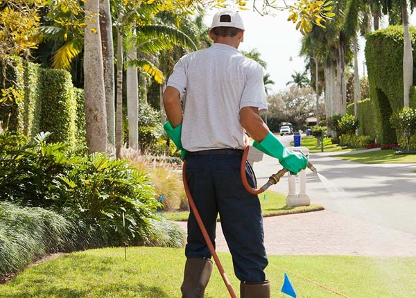 About Friendship TN Pest Control Pros